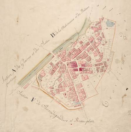 Consultation d'un plan cadastral napoléonien aux archives départementales